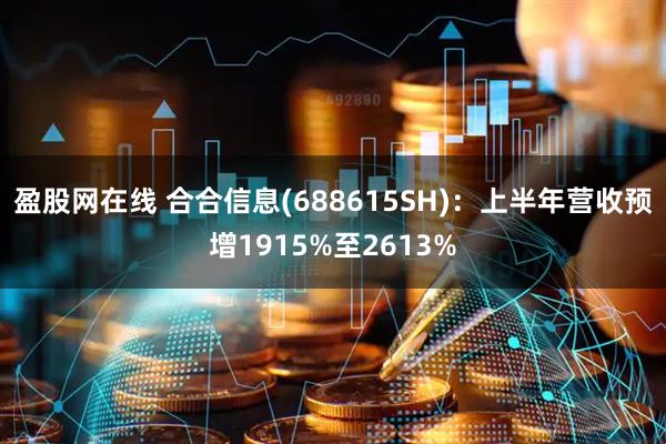 盈股网在线 合合信息(688615SH):上半年营收预增1915%至2613%